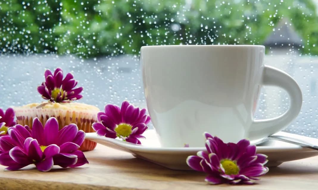 Jak piec muffinki w papierowych foremkach bez błędów i przywierania ciasta Jak piec muffinki w papierowych foremkach bez błędów i przywierania ciasta